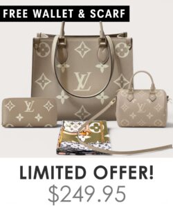 Big bag + Nano speedy + Gifts (Free LV Wallet + Free LV Silk Scarf)