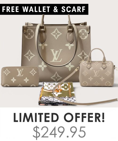 Big bag + Nano speedy + Gifts (Free LV Wallet + Free LV Silk Scarf)