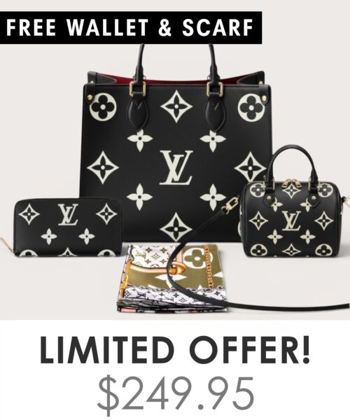 Bag + Nano speedy + Gifts (Free LV Wallet + Free LV Silk Scarf)