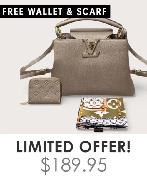 Bag + Gifts (FREE LV Wallet & FREE LV Scarf)
