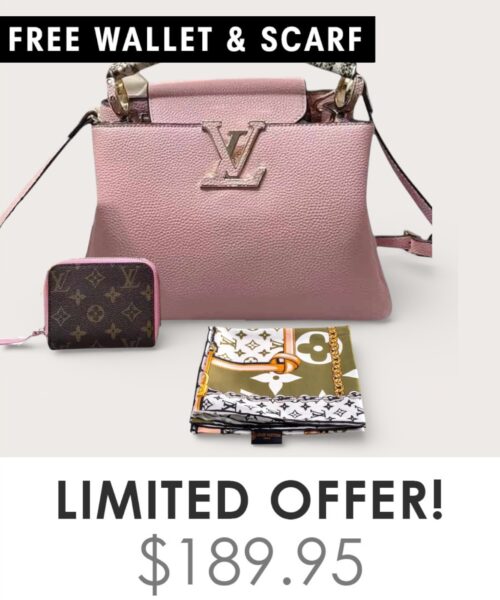 Bag + Gifts (FREE LV Wallet & FREE LV Scarf)