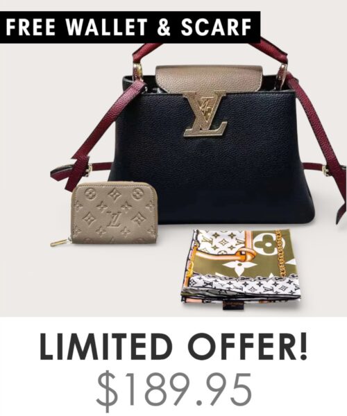 Bag + Gifts (FREE LV Wallet & FREE LV Scarf)