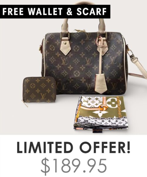 Bag + Gifts (FREE LV Wallet & FREE LV Scarf)