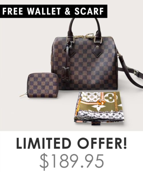 Bag + Gifts (FREE LV Wallet & FREE LV Scarf)