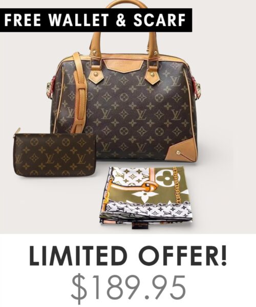 Bag + Gifts (FREE LV Wallet & FREE LV Scarf)