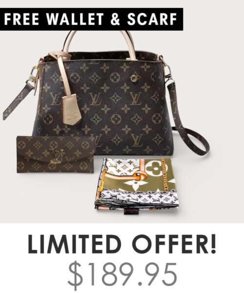 Bag + Gifts (FREE LV Wallet & FREE LV Scarf)