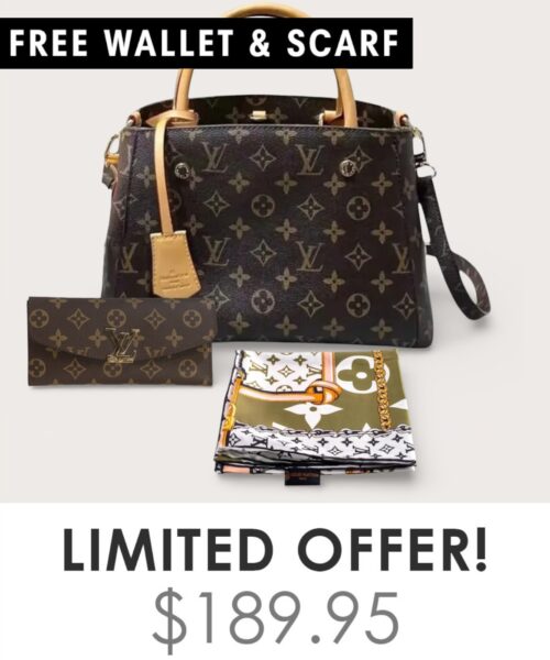 Bag + Gifts (FREE LV Wallet & FREE LV Scarf)