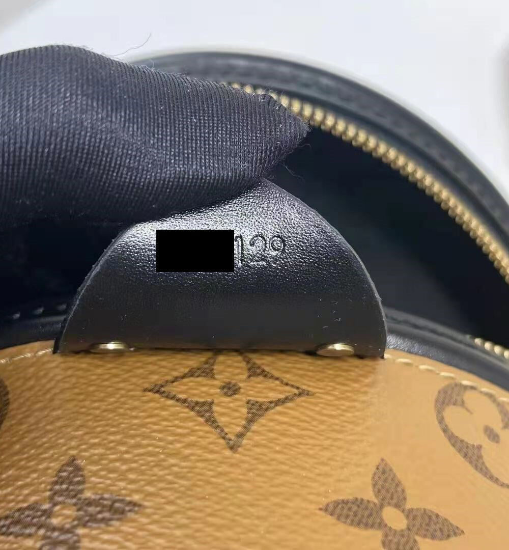 AAA Replica Louis Vuitton LV CANNES MONOGRAM REVERSE CANVAS 2019