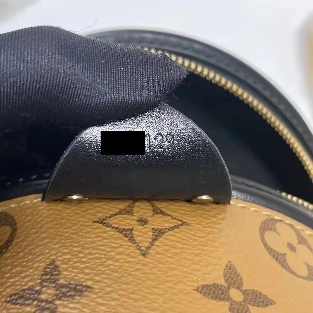 AAA Replica Louis Vuitton LV CANNES MONOGRAM REVERSE CANVAS 2019
