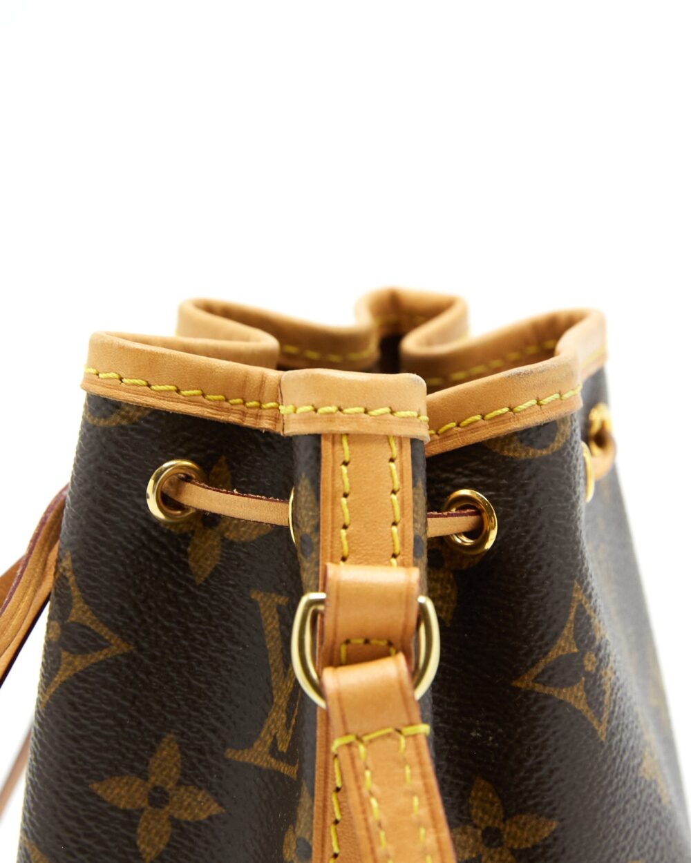 AAA Replica Louis Vuitton LV NANO NOE MONOGRAM CANVAS GHW
