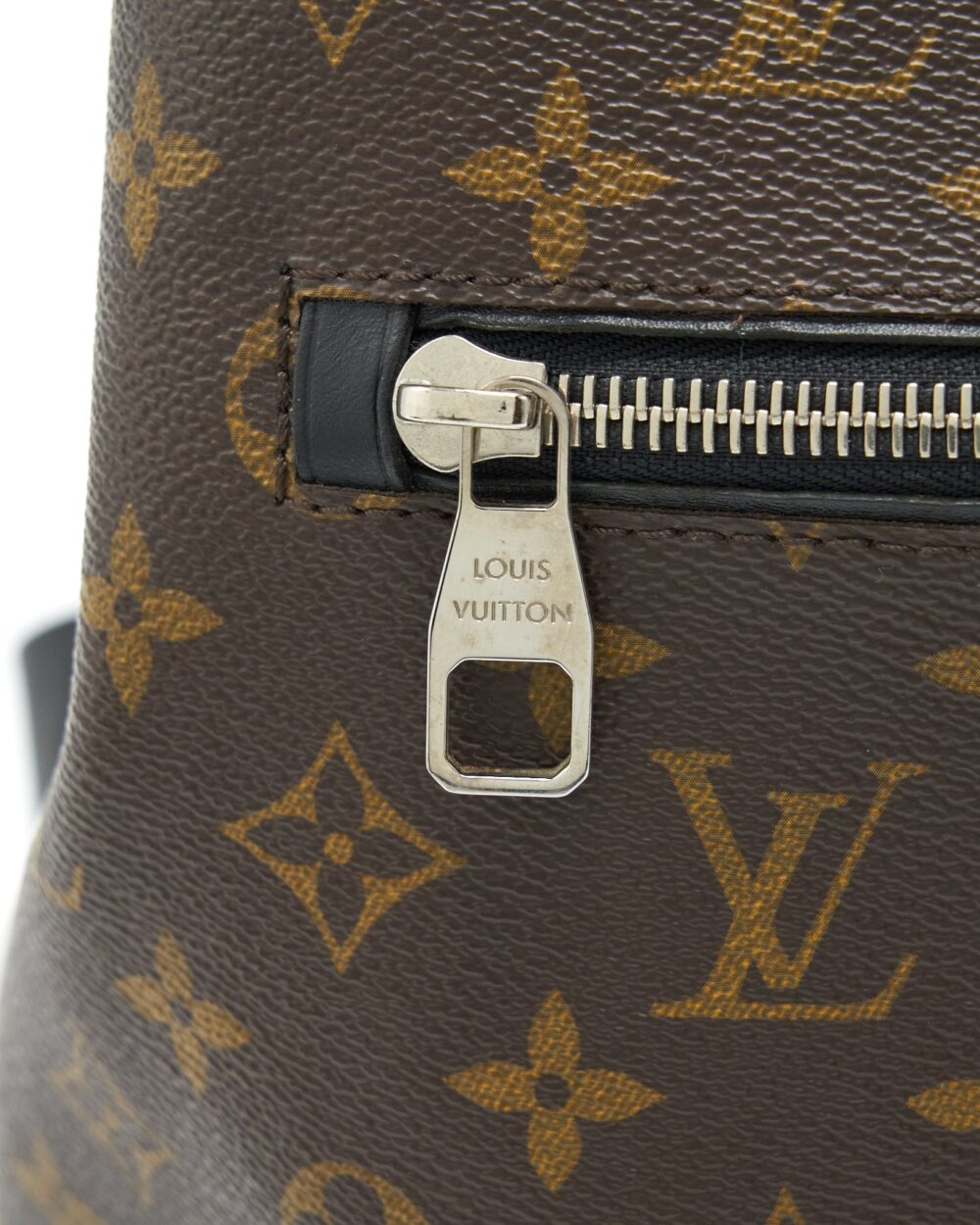 AAA Replica Louis Vuitton LV MACASSAR PALK BACKPACK MONOGRAM CANVAS GHW