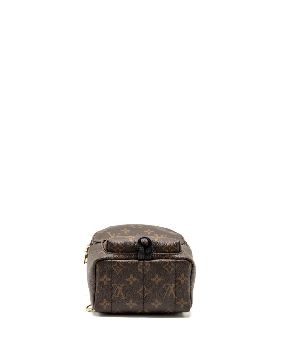 AAA Replica Louis Vuitton LV MINI PALM SPRING BACKPACK MONOGRAM CANVAS GHW