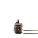 AAA Replica Louis Vuitton LV VANITY PM MONOGRAM CANVAS GHW