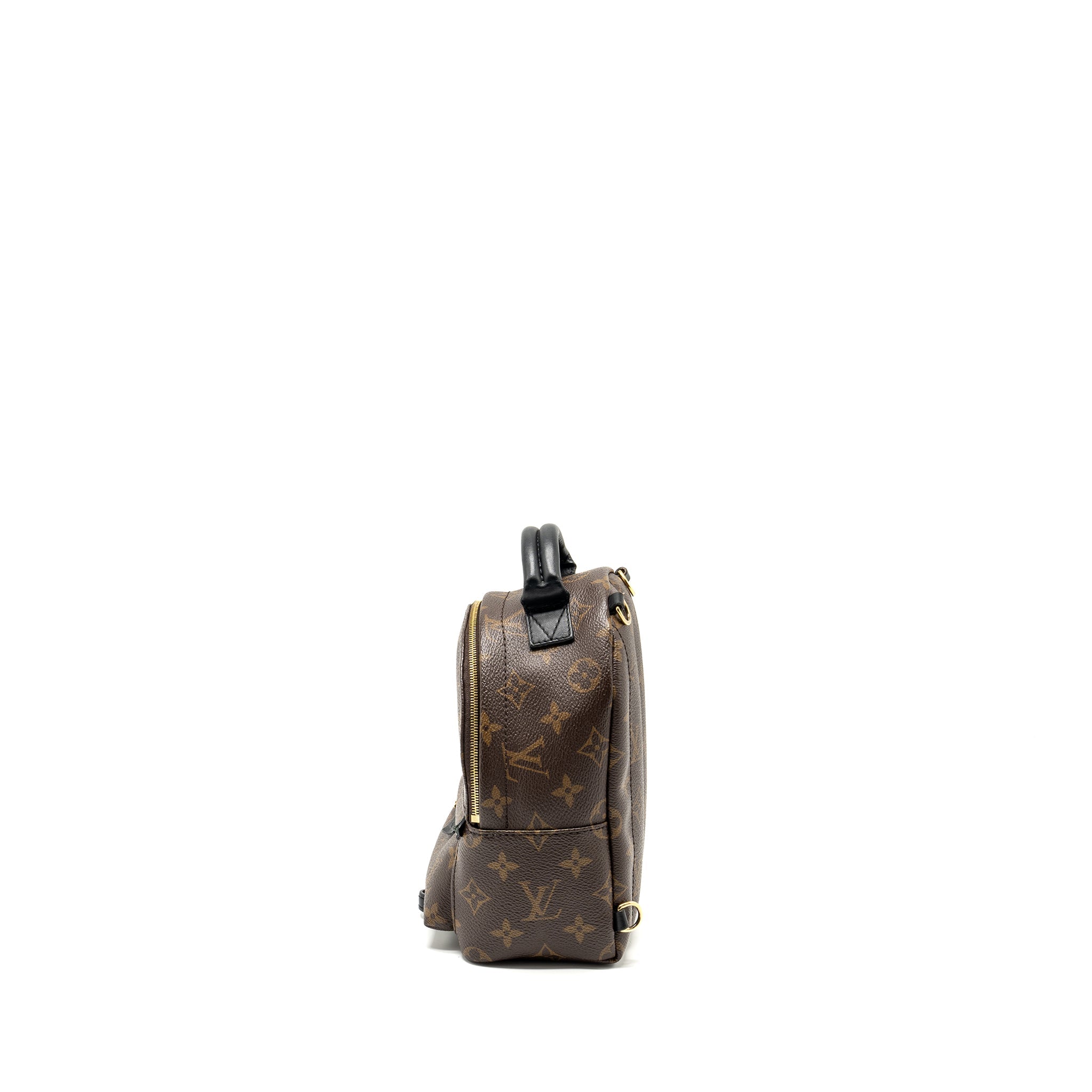 AAA Replica Louis Vuitton LV MINI PALM SPRING BACKPACK MONOGRAM CANVAS GHW
