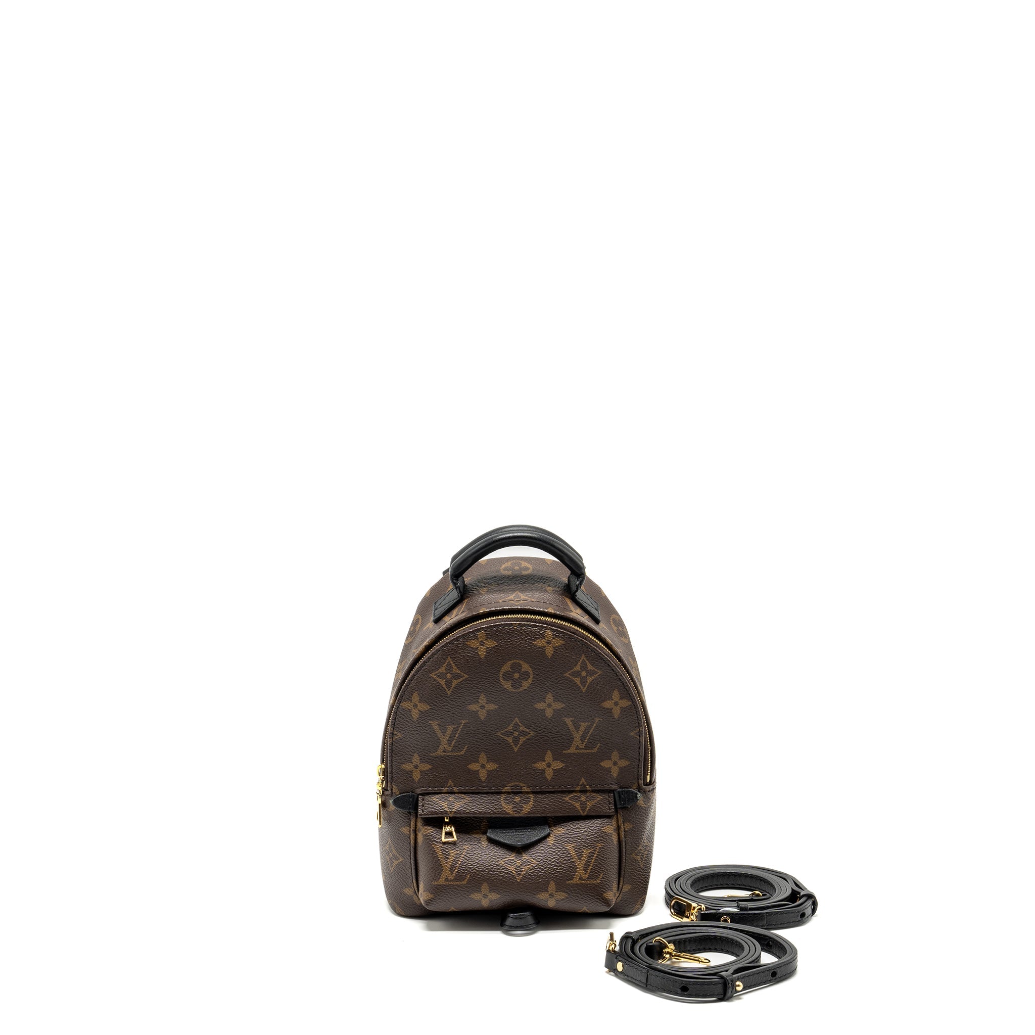 AAA Replica Louis Vuitton LV MINI PALM SPRING BACKPACK MONOGRAM CANVAS GHW