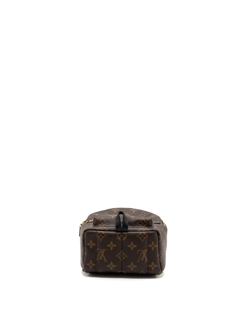 AAA Replica Louis Vuitton LV MINI PALM SPRING BACKPACK MONOGRAM CANVAS GHW