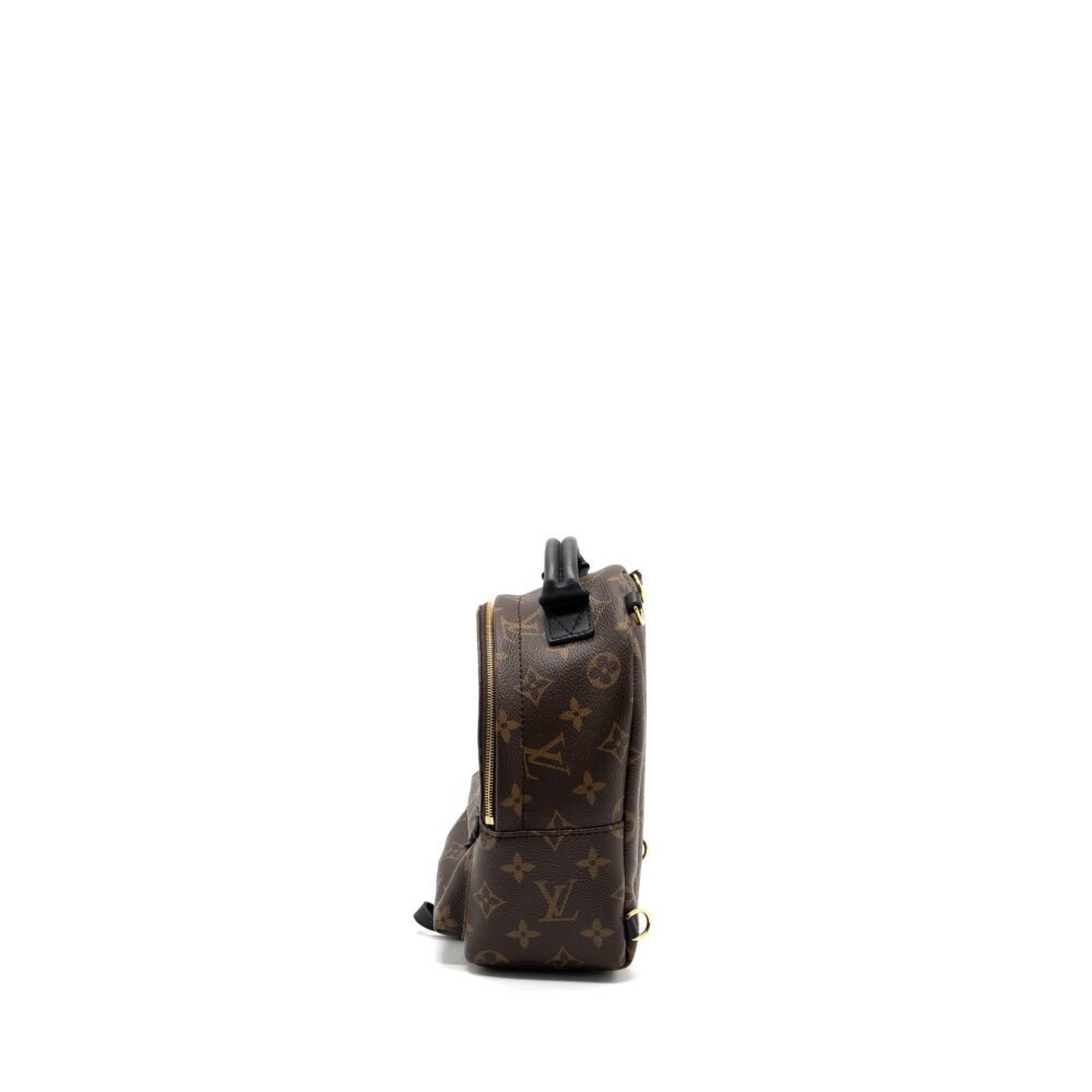 AAA Replica Louis Vuitton LV MINI PALM SPRING BACKPACK MONOGRAM CANVAS GHW