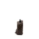 AAA Replica Louis Vuitton LV MINI PALM SPRING BACKPACK MONOGRAM CANVAS GHW