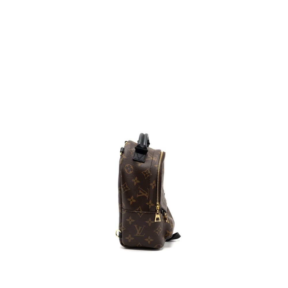 AAA Replica Louis Vuitton LV MINI PALM SPRING BACKPACK MONOGRAM CANVAS GHW