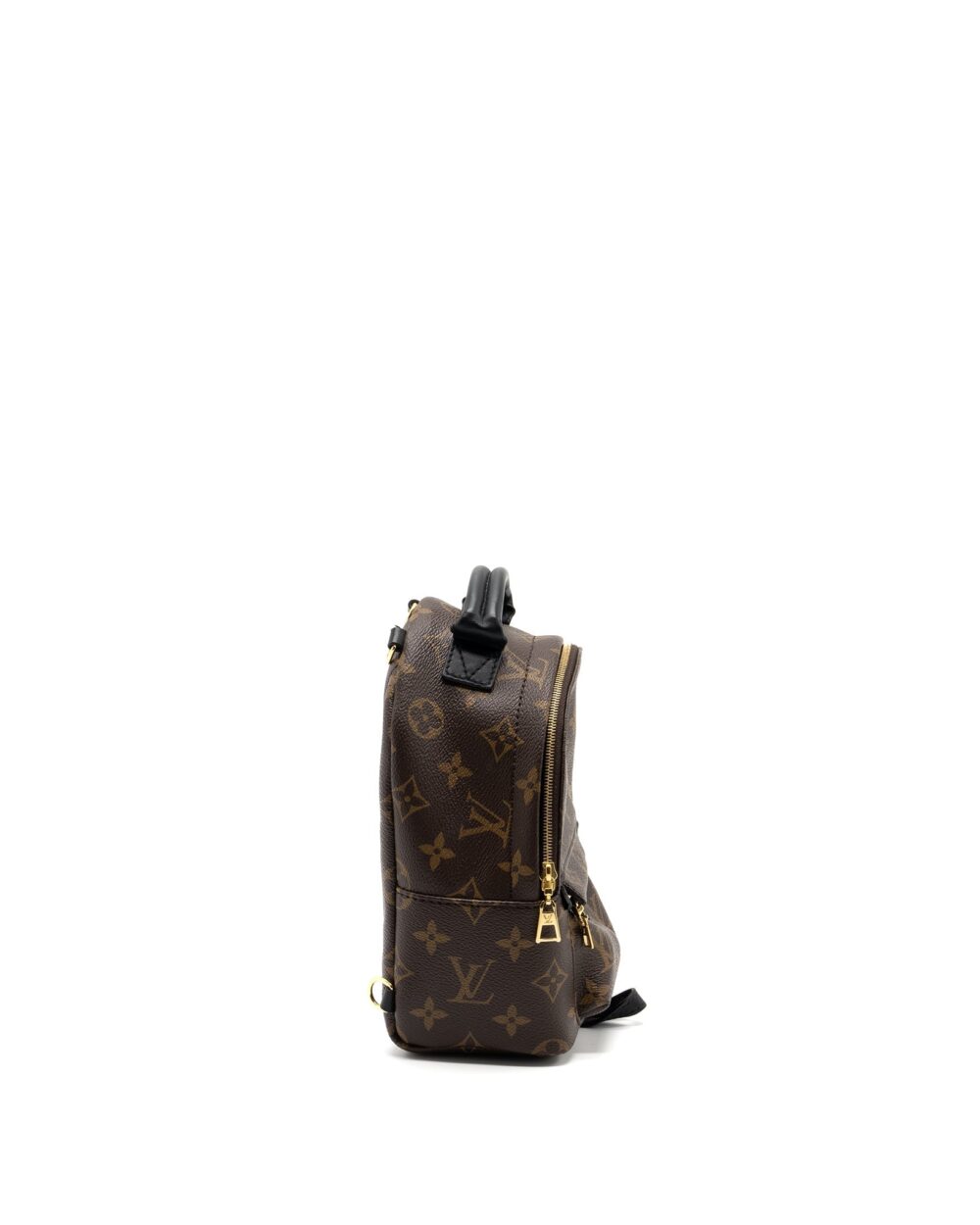 AAA Replica Louis Vuitton LV MINI PALM SPRING BACKPACK MONOGRAM CANVAS GHW