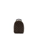 AAA Replica Louis Vuitton LV MINI PALM SPRING BACKPACK MONOGRAM CANVAS GHW