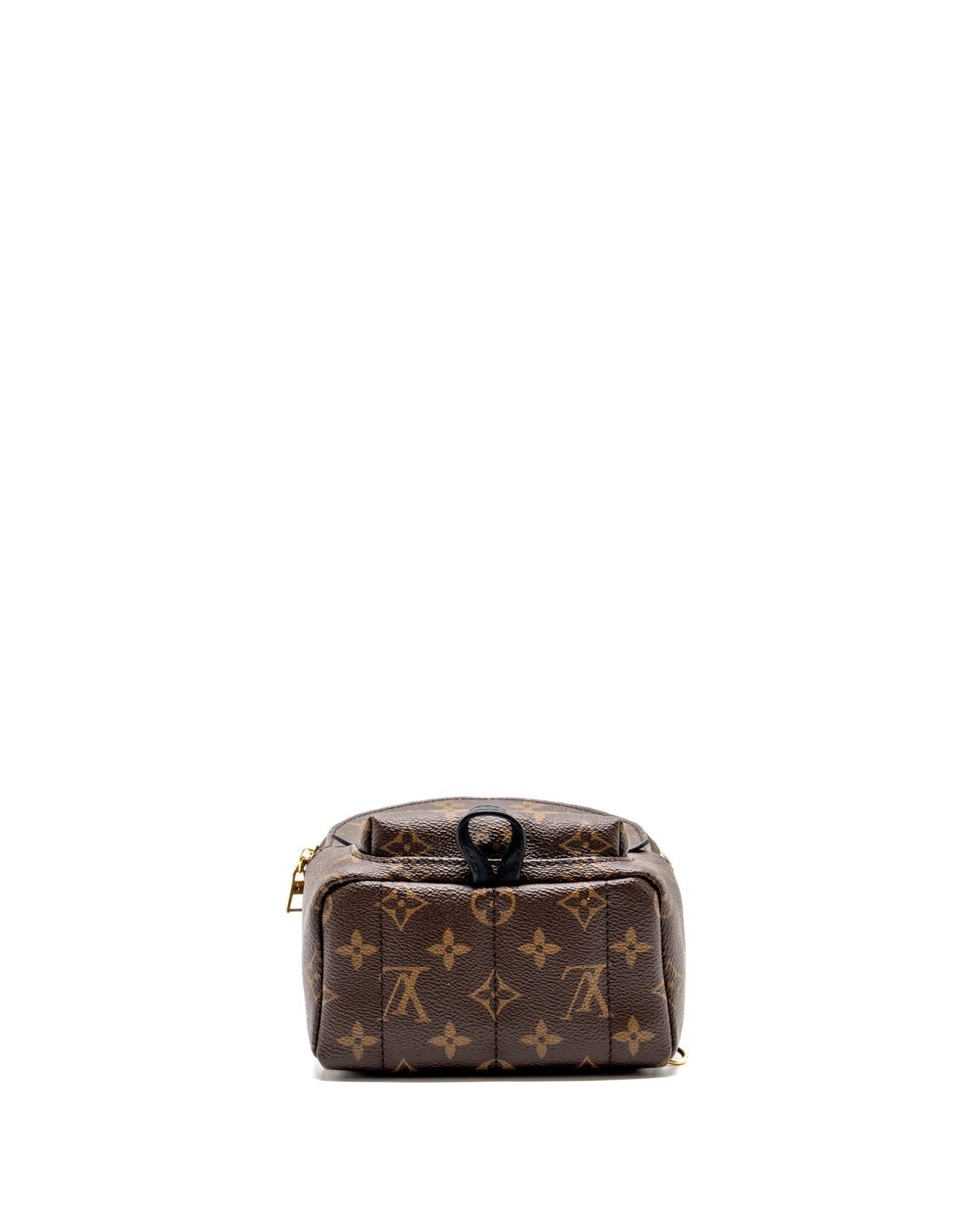 AAA Replica Louis Vuitton LV MINI PALM SPRING BACKPACK MONOGRAM CANVAS GHW