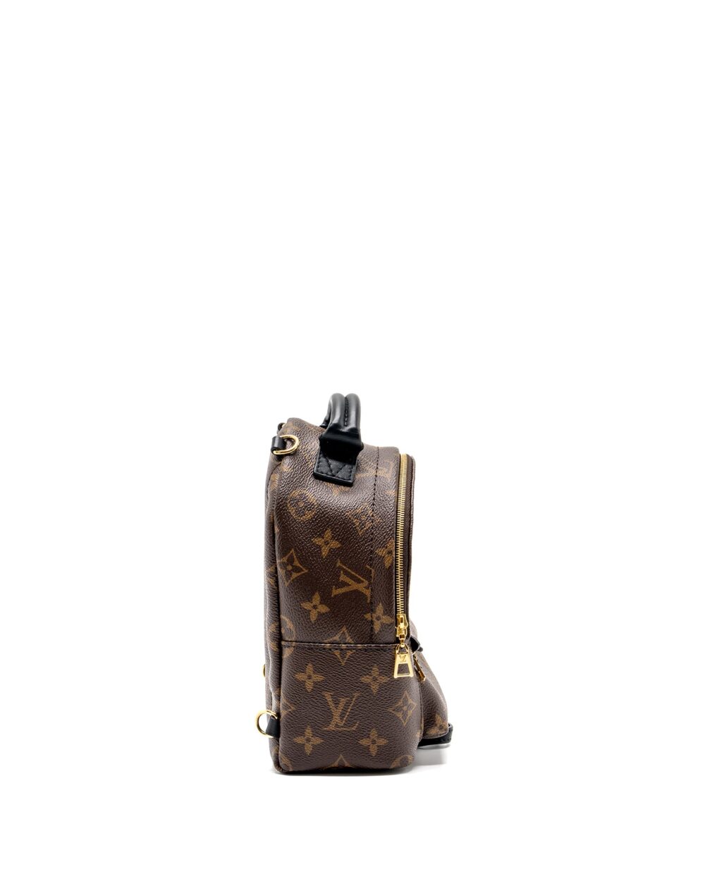 AAA Replica Louis Vuitton LV MINI PALM SPRING BACKPACK MONOGRAM CANVAS GHW