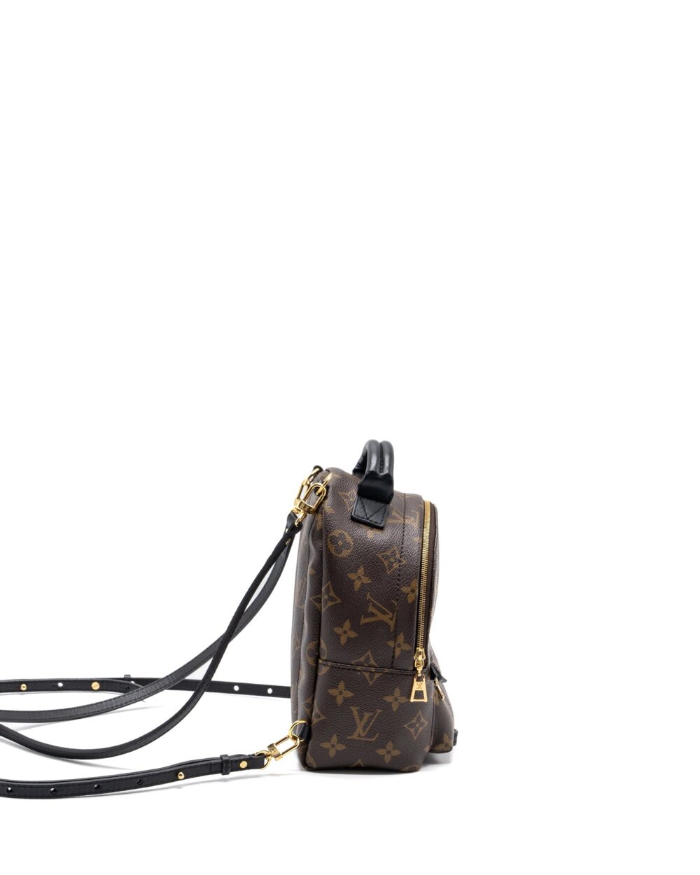 AAA Replica Louis Vuitton LV MINI PALM SPRING BACKPACK MONOGRAM CANVAS GHW