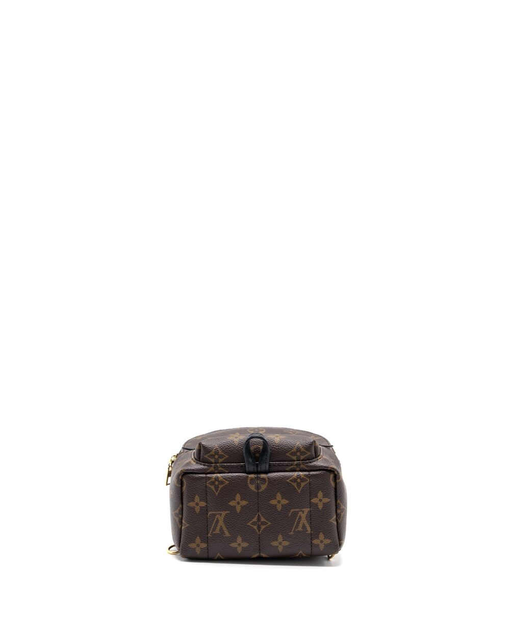 AAA Replica Louis Vuitton LV MINI PALM SPRING BACKPACK MONOGRAM CANVAS GHW