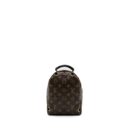 AAA Replica Louis Vuitton LV MINI PALM SPRING BACKPACK LIMITED EDITION MONOGRAM CANVAS/MULTICOLOUR GHW