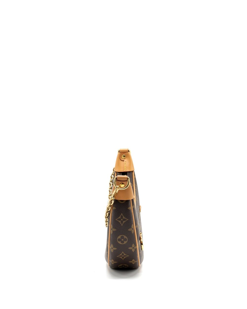 AAA Replica Louis Vuitton LV LOOP BAG MONOGRAM CANVAS GHW 
