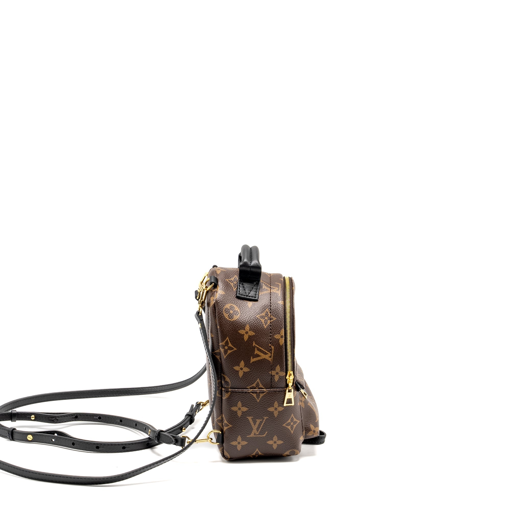 AAA Replica Louis Vuitton LV MINI PALM SPRING BACKPACK MONOGRAM CANVAS GHW