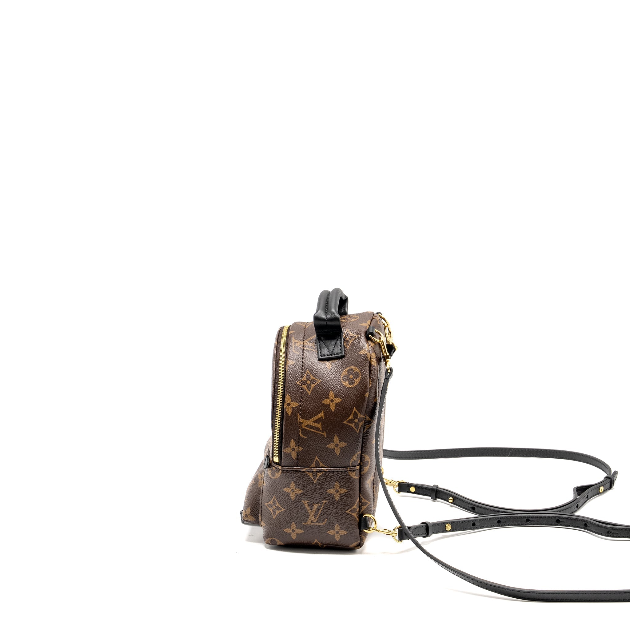 AAA Replica Louis Vuitton LV MINI PALM SPRING BACKPACK MONOGRAM CANVAS GHW