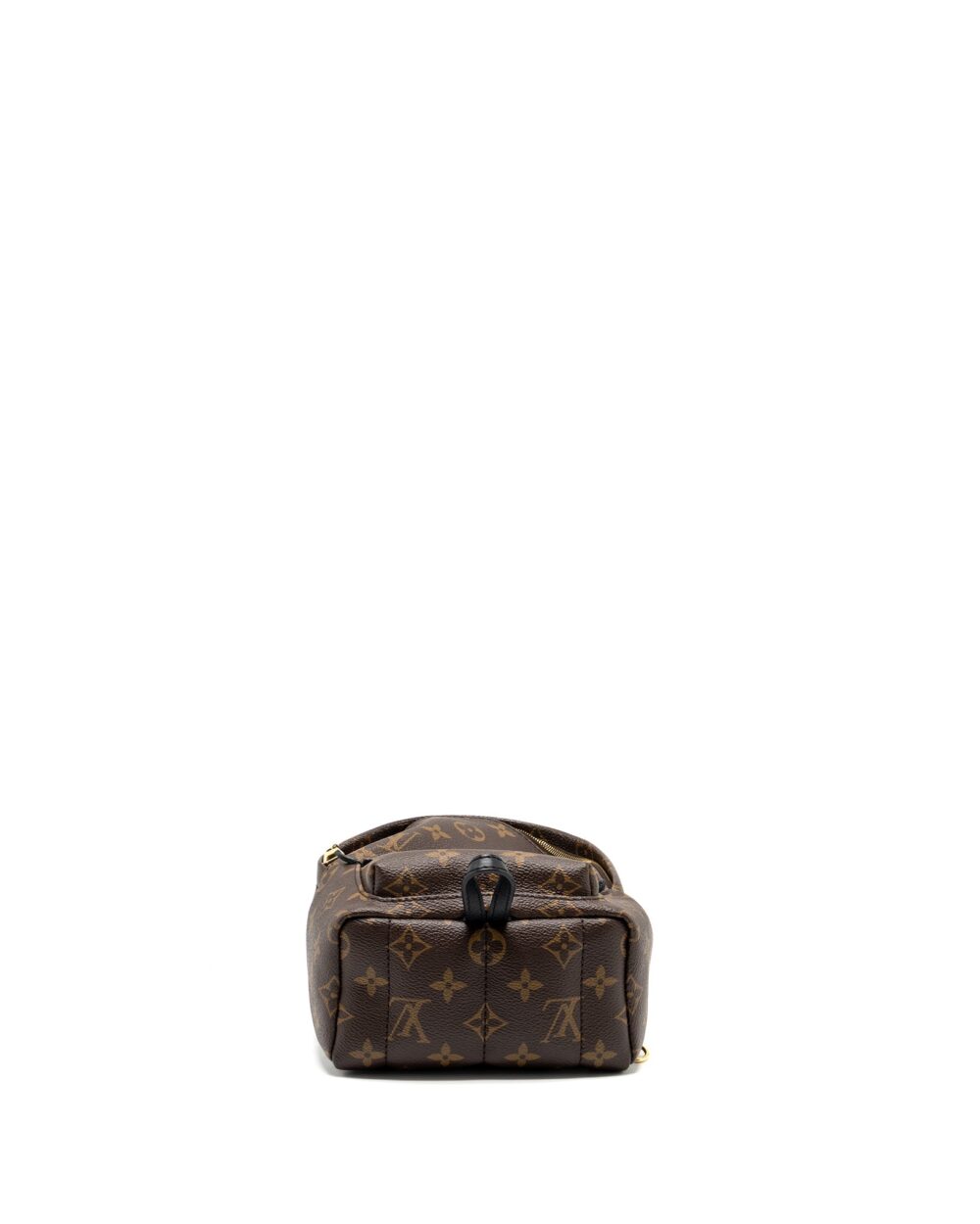 AAA Replica Louis Vuitton LV MINI PALM SPRING BACKPACK MONOGRAM CANVAS GHW