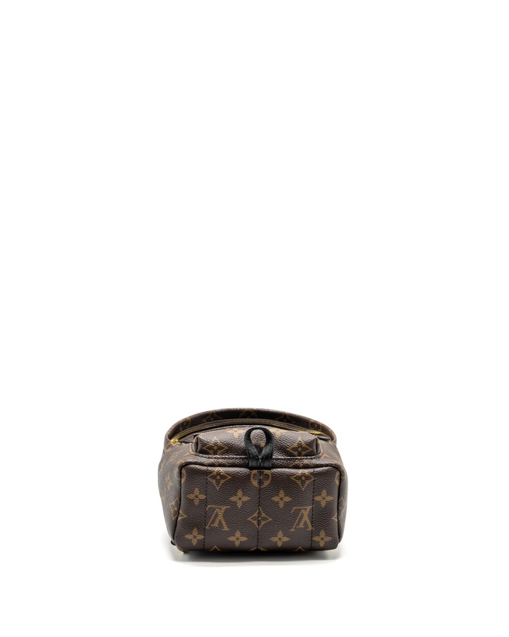 AAA Replica Louis Vuitton LV PALM SPRING MINI BACKPACK MONOGRAM CANVAS GHW