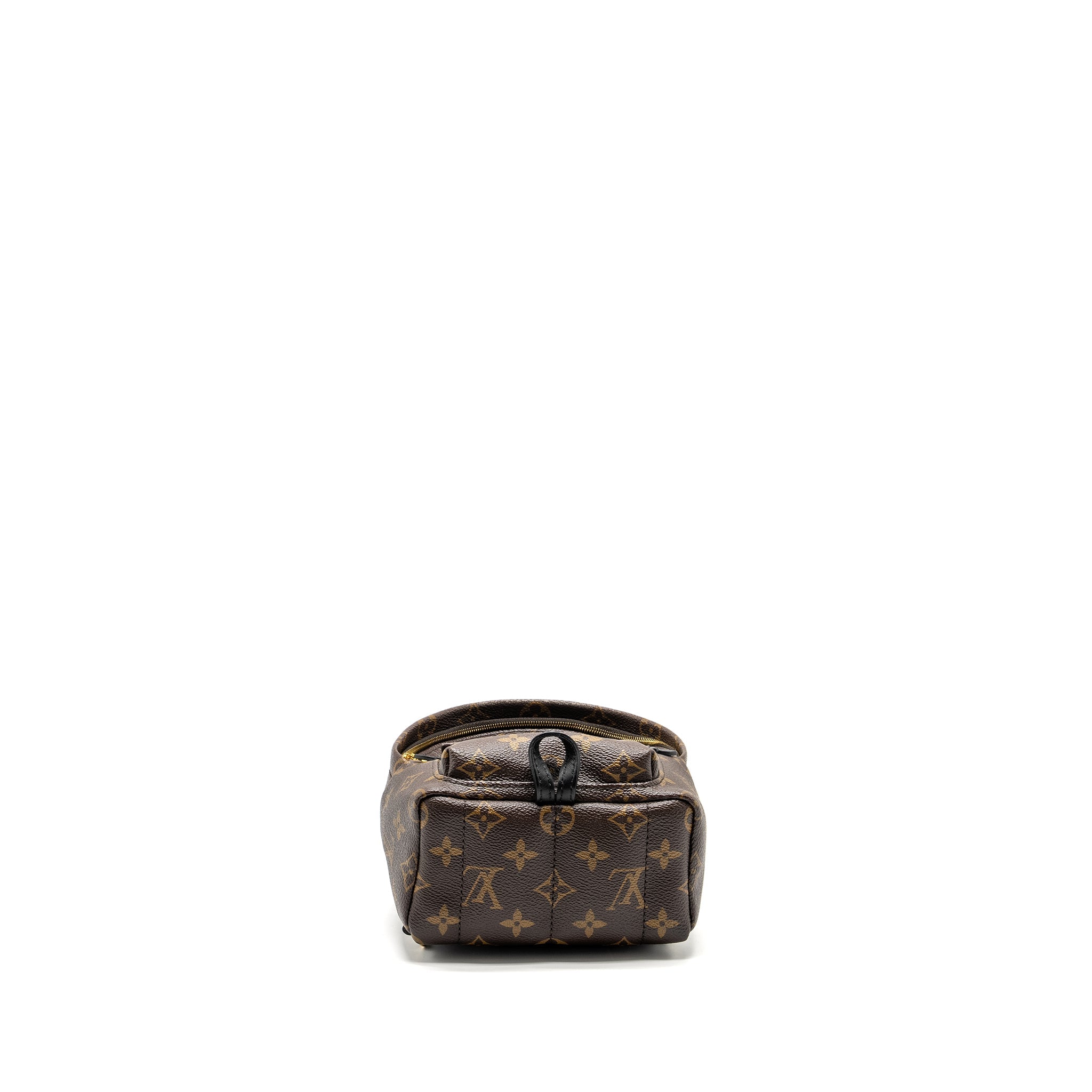 AAA Replica Louis Vuitton LV PALM SPRING MINI BACKPACK MONOGRAM CANVAS GHW