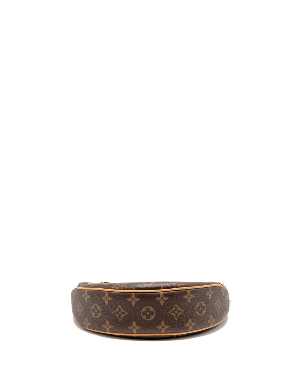 AAA Replica Louis Vuitton LV LOOP BAG MONOGRAM CANVAS GHW