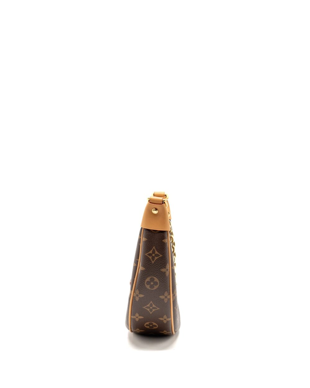 AAA Replica Louis Vuitton LV LOOP BAG MONOGRAM CANVAS GHW
