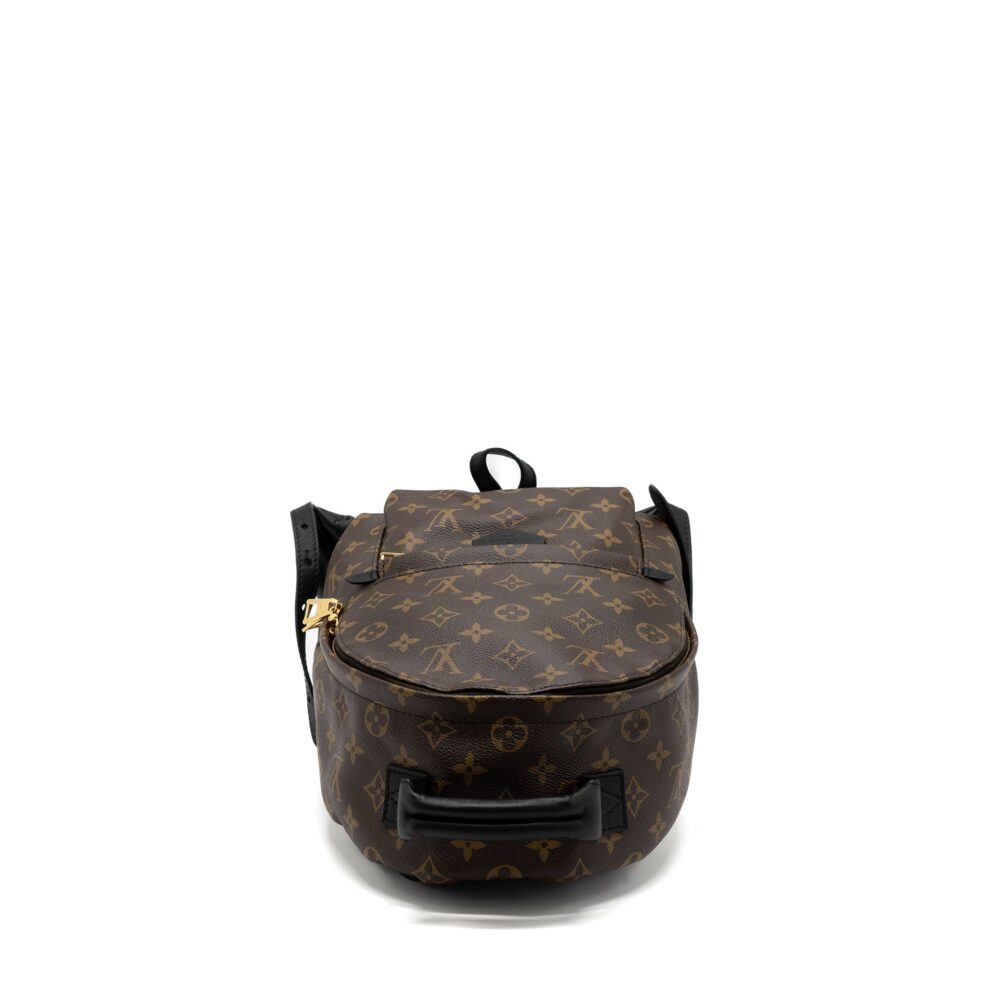 AAA Replica Louis Vuitton LV PALM SPRING BACKPACK PM MONOGRAM CANVAS GHW