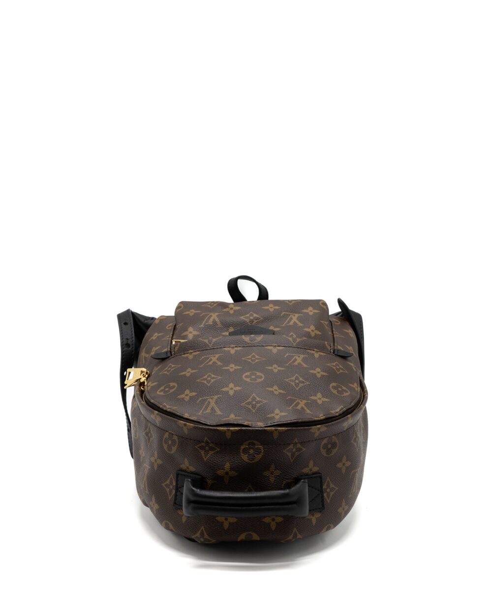 AAA Replica Louis Vuitton LV PALM SPRING BACKPACK PM MONOGRAM CANVAS GHW