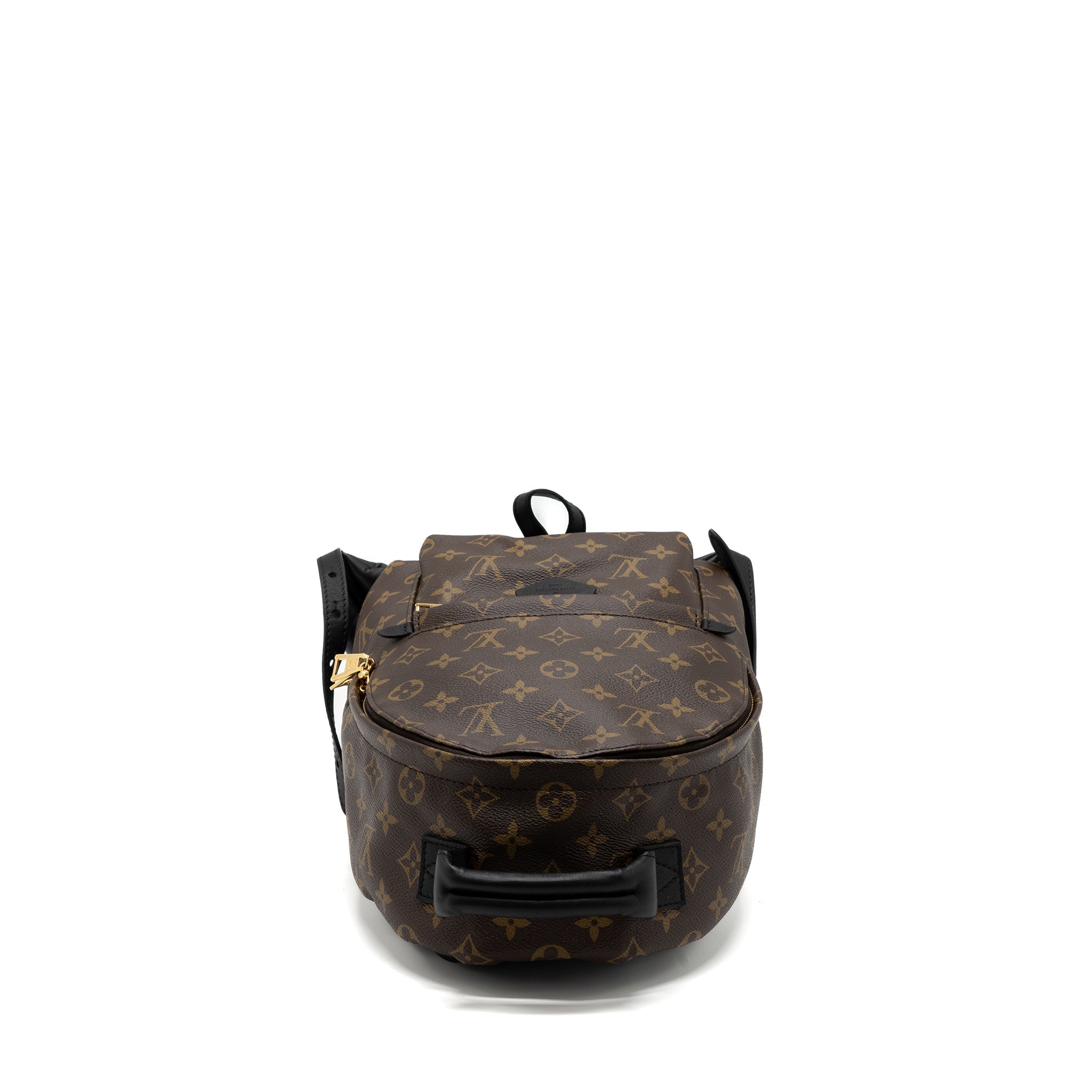 AAA Replica Louis Vuitton LV PALM SPRING BACKPACK PM MONOGRAM CANVAS GHW