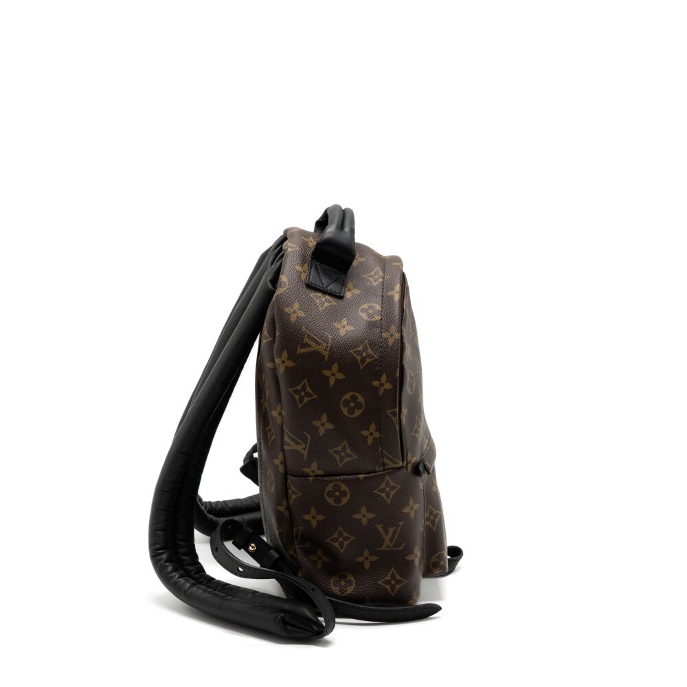 AAA Replica Louis Vuitton LV PALM SPRING BACKPACK PM MONOGRAM CANVAS GHW