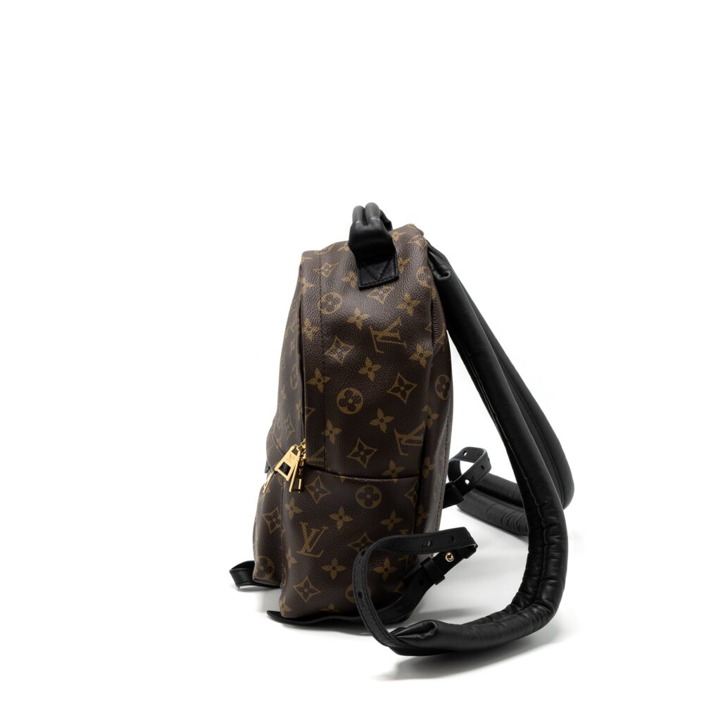 AAA Replica Louis Vuitton LV PALM SPRING BACKPACK PM MONOGRAM CANVAS GHW