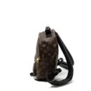 AAA Replica Louis Vuitton LV PALM SPRING BACKPACK PM MONOGRAM CANVAS GHW