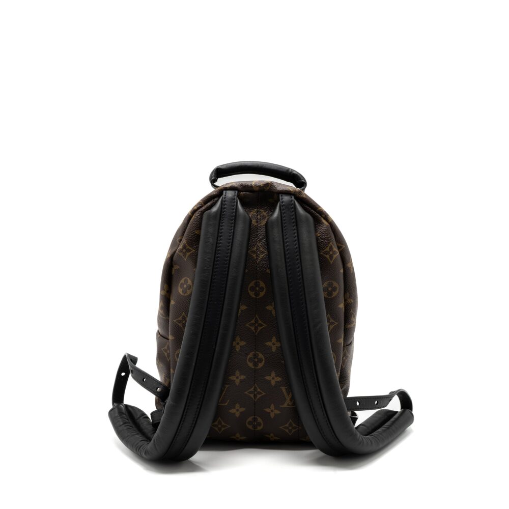 AAA Replica Louis Vuitton LV PALM SPRING BACKPACK PM MONOGRAM CANVAS GHW
