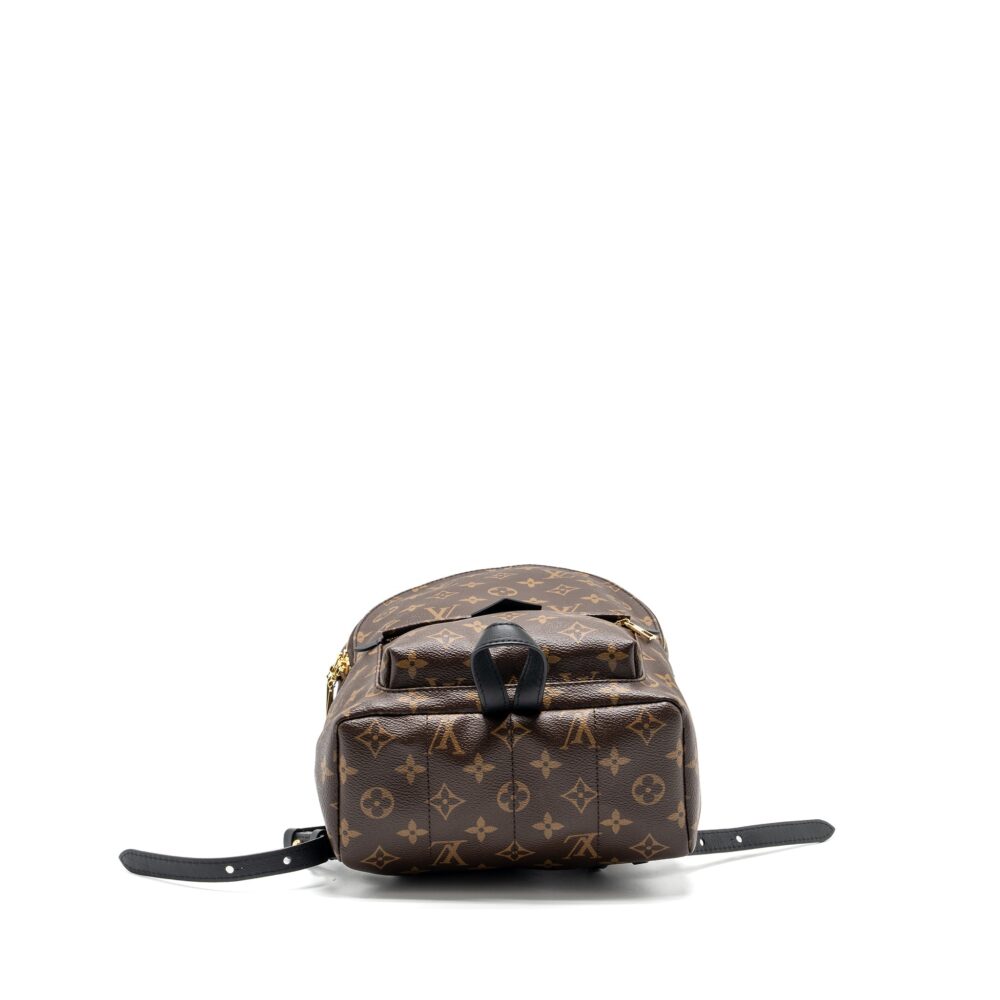 AAA Replica Louis Vuitton LV PALM SPRING PM BACKPACK MONOGRAM CANVAS GHW