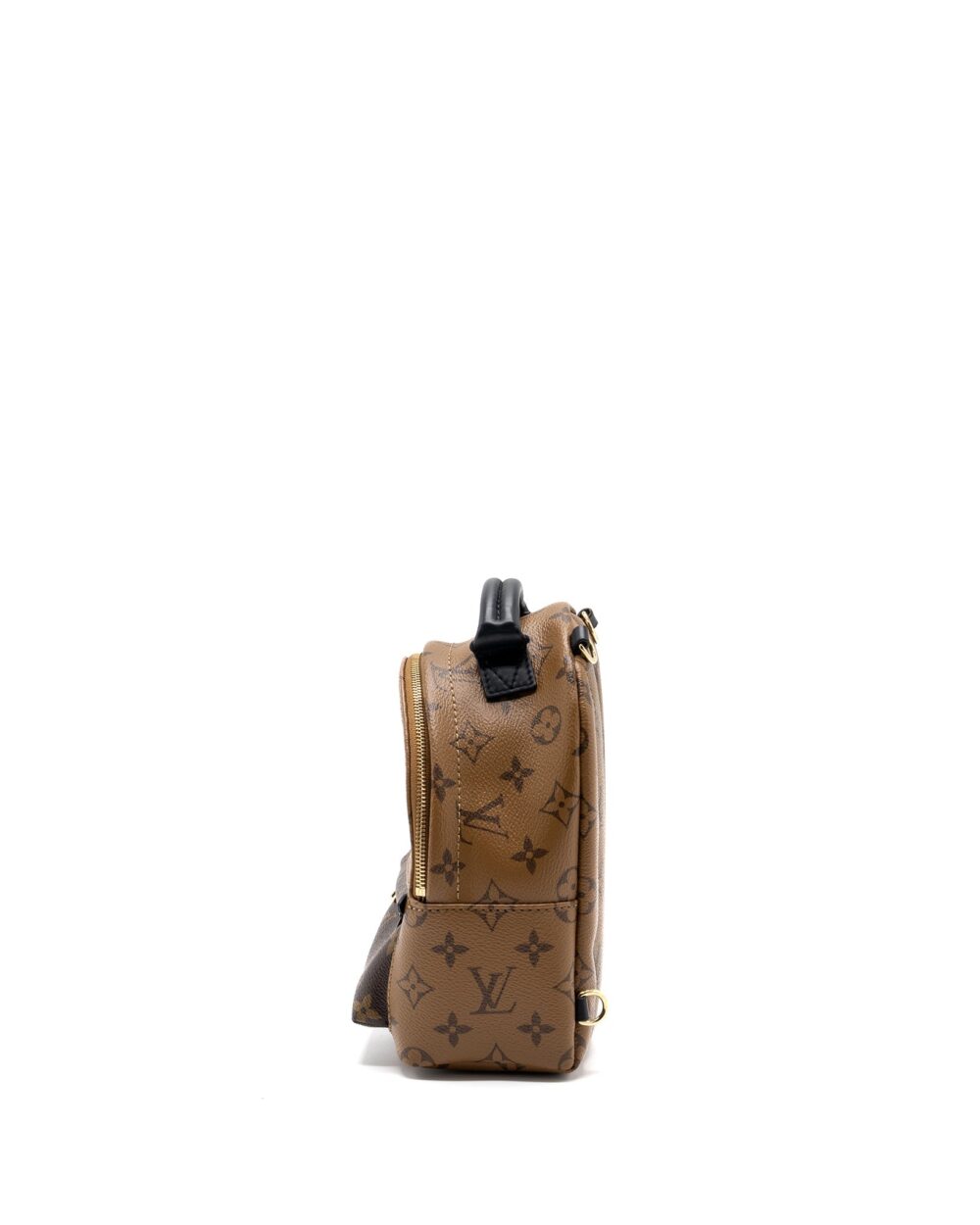 AAA Replica Louis Vuitton LV PALM SPRING MINI BACKPACK REVERSE MONOGRAM CANVAS GHW