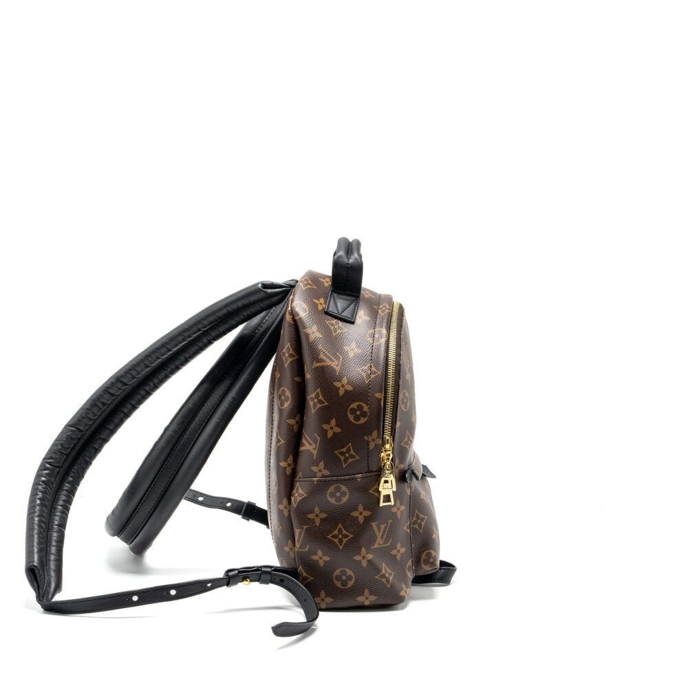 AAA Replica Louis Vuitton LV PALM SPRING PM BACKPACK MONOGRAM CANVAS GHW