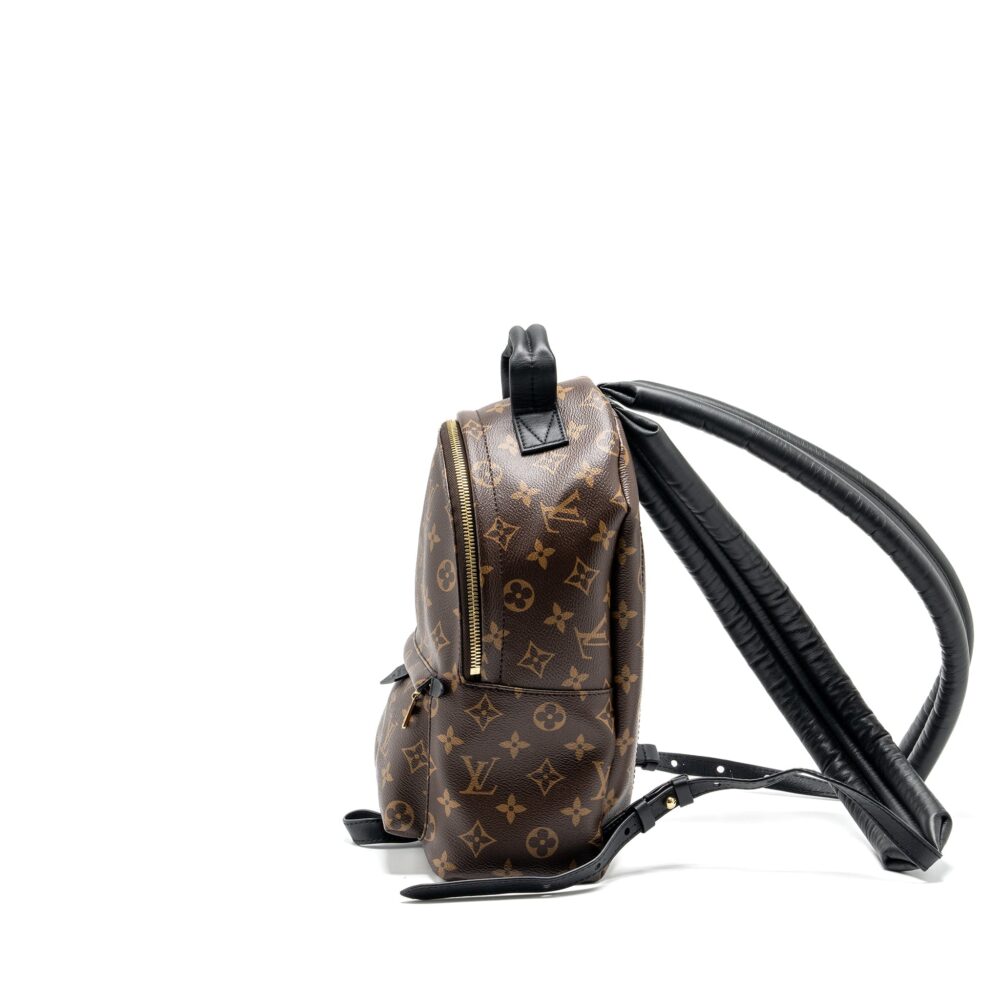 AAA Replica Louis Vuitton LV PALM SPRING PM BACKPACK MONOGRAM CANVAS GHW