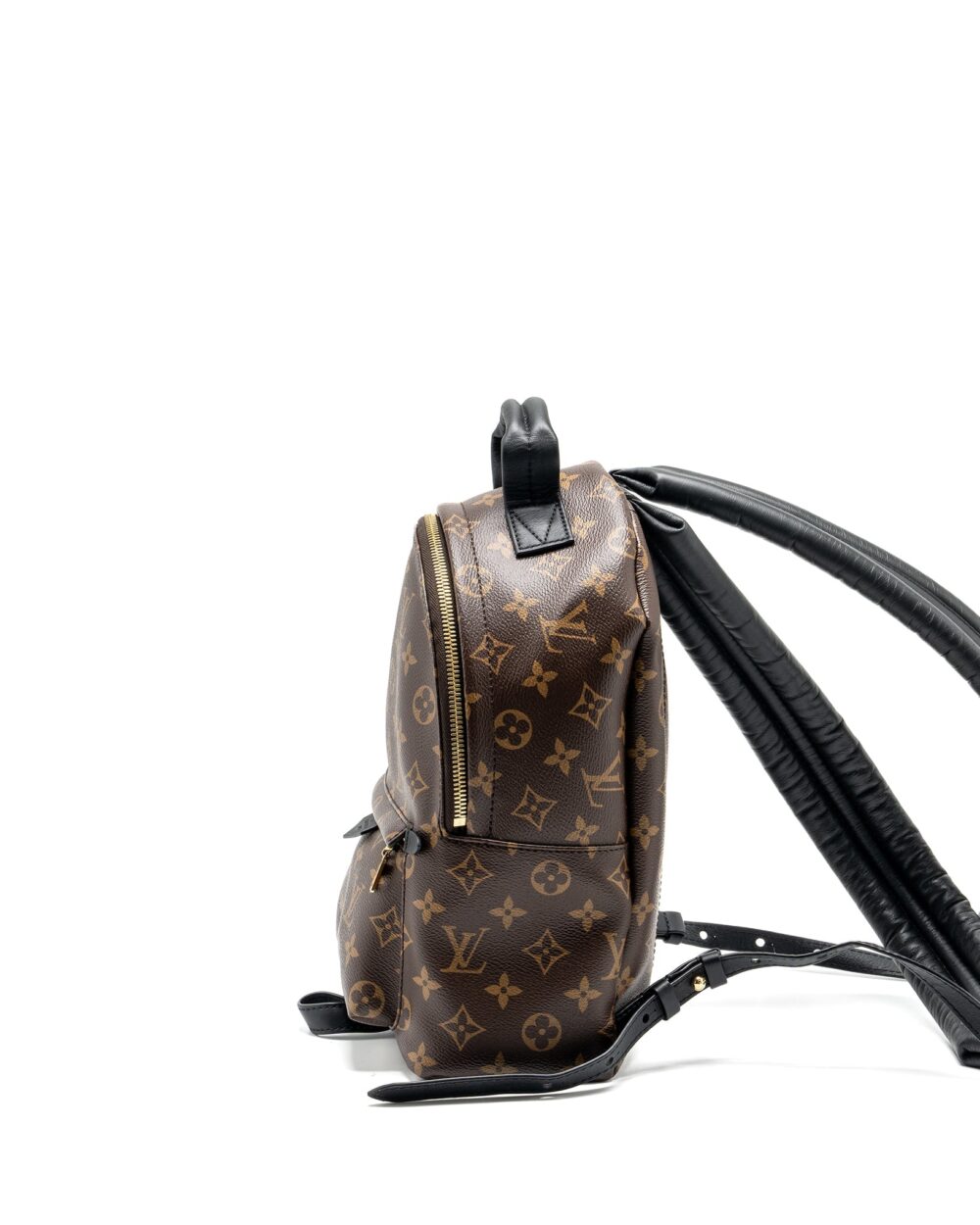 AAA Replica Louis Vuitton LV PALM SPRING PM BACKPACK MONOGRAM CANVAS GHW